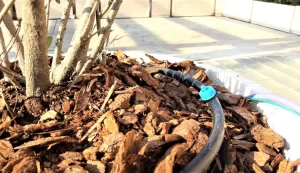 Sistema de Riego Automático- Por goteo