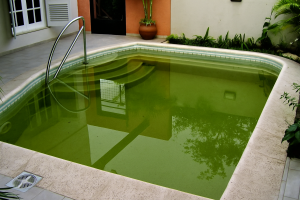 Agua verde en tu piscina: 8 pasos rápidos para recuperarla